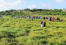 Degmada Dharkeynley oo laga daah furay goobo dalxiis+sawirro.