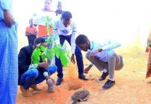 Mudug:Dhallinyarada oo Gobolkaasi ka bilaabay adeegyo dhir-beeris ah