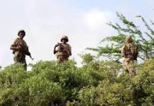 Ciidamada xoogga oo saaka howlgal amni sugid ah ka fuliyay degaanka Gendershe