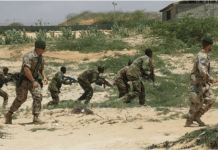 Horjoogayaashii Argagixisada u qaabilsanaa samaynta qaraxyada oo lagu qaarajiyay Jubbada dhexe.