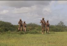 Ciidamada Kumaandooska DANAB oo Howlgal Qorsheysan fuliyay