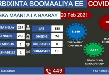 Wasiirka Caafimaadka oo ka warbixisay xaaladihii ugu dambeeyay COVID-19 ee Dalka