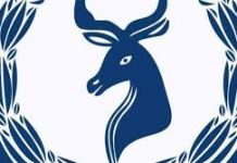 Boliiska Soomaaliya oo baaraya Haween lagu dilay Muqdisho