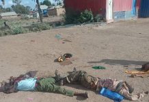 Ciidamada Xoogga dalka oo fashiliyay weerar argagixisada ku qaadeen Bariire iyo Awdheegle