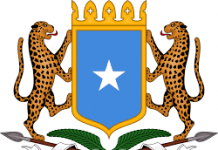 War saxaafadeed kasoo baxay DFS oo ku aadan beesha caalamka