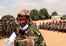 Taliska Ciidanka Xoogga oo sheegay in tiro badan oo argagixiso ah lagu dilay Gobolka Sh/Hoose