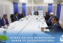 Ra’iisal wasaare Rooble oo ka mahadceliyay taageerada Shacabka iyo Siyaasiyiinta Soomaaliyeed
