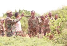 Ciidamada xoogga dalka oo howlgal qorsheysan ku dilay maleeshiyaad ka tirsan argagixisada