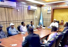 Wasiir Duraan Faarax oo guddiga Diyaaradaha kala hadlay xayiraadda duulimaad ee Kenya