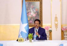 MADAXWEYNE FARMAAJO OO KULAN AFURO AH LA QAATAY CULIMADA SOOMAALIYEED