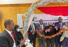 Madaxweyne ku-xigeenka Puntland oo daah-furay diiwaan gelinta doorasho qof iyo cod ah