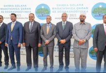 Talo loo dhan yahay ayaa lagu tanaadaa (warbixin)