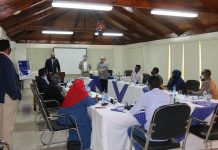 Hey’adda Socdaalka iyo Jinsiyadda oo lagu wareejiyay qalab la xiriira baarista dukumiintiyada