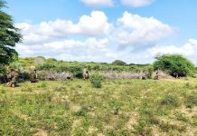 Ciidanka XDS oo 25 Al-shabaab ahaa ku dilay gobolka Hiiraan