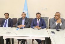 Xubnihii ay cabashada ka timid oo laga saaray guddiga doorashooyinka dalka