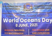 Wasaaradaha Kalluumeysiga iyo Dekedaha oo xusay maalinta Caalamiga ah ee Baddaha Adduunka