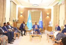 Madaxweyne ku xigeenka Galmudug oo kulan la qaatay wafdi Ka Socda Hay,adaha Qaramada Midoobey.