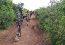 Ciidamada Xoogga Oo Sameeyay Howlgal Miino Raadin Ah.