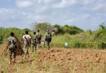 Howlgalo lagu baacsanayo maleeshiyada Al-Shabaab oo ka socda gobolka Sh/dhexe