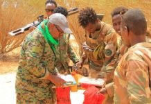 Duqeyn ka dhacday meel u dhexaysa Xarardheere iyo Qaycade oo lala beegsaday argagixisada Al-shabaab