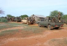 Ciidanka DF oo howlgal qorsheysan ku dilay 15-ka tirsan argagixisada Al-Shabaab