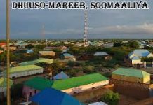 Wafdi ka socda QM oo gaaray Magaalada Dhuusamareeb