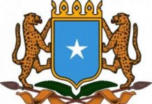 Dawladda Soomaaliya oo Beenisay in dalka laga joojiyey Shirkadaha Diyaaradaha ee Fly Dubai Iyo Air Arabia.