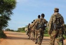 Horjoogayaal Al-Shabaab ah oo lagu dilay Jubbada Hoose