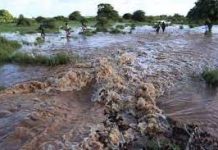 Webiga Shabeelle oo fatahaad sameeyey iyo khasaare ka dhashay