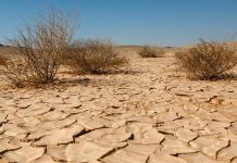 DHOWRISTA DEGAANKA WAA MID LOO BAAHAN YAHAY