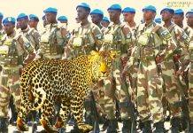 XIISO BADAN LOOMA QABO XOG HADDAY BANNAAN TAAL