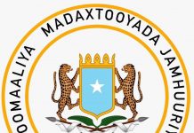 Madaxweyne Farmaajo oo faray Fahad Yaasiin in uu sii wado hoggaaminta NISA