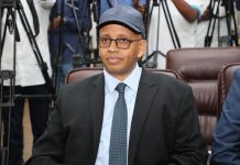 Wasiir Dubbe oo loo doortay Senotar ka tirsan Aqalka Sare