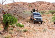 Ciidamada Puntland oo howl-gallo ka dhan ah Argagixisada ka sameeyay buuraha galgala