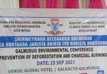 Galmudug oo sheegtay inay waddo qorshe looga maarmayo isticmaalka Dhuxusha