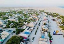 Muhiimadda Dekadda Kalluumeysiga Hobyo u leedahay Bulshada deegaanka