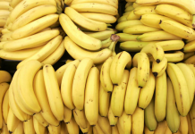 FAA’IIDO NOOCEE AH AYUU INOO LEEYAHAY MOOSKA.