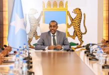 Ra’iisal wasaare Rooble oo guddoomiyey shirka tiirka dhaqaalaha