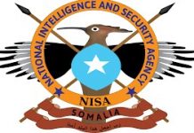 Ra’iisal wasaare Rooble oo shaqadii ka joojiyay agasimihii NISA,si kumeel gaar ahna u magacaabay agaasime cusub