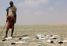 Soomaaliya iyo Beesha caalamka oo ka wada hadlay abaaraha ka jira dalka