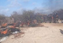 Ra’iisul wasaaraha XFS oo cambaareeyay falkii arxan darrada ahaa ee argagixisadda Alshabaab ku gubeen raashin iyo hanti ay lahayeen ganacsato Soomaaliyeed