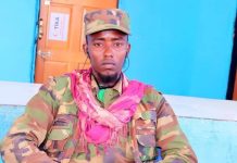 Horjooge ka tirsanaa Al-Shabaab oo isku soo dhiibay ciidamada Xoogga dalka
