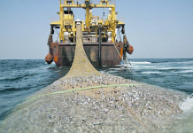 Kalluumeysiga sharci darada ah oo ku soo badanaya badda Soomaaliya