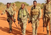 Faah faahin laga bixiyay howlgallo ka dhacay Gedo