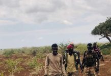 Ciidamada xoogga dalka oo jab xooggan gaarsiiyay argagixisada Al-Shabaab