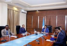 MADAXWEYNE FARMAAJO OO MADAXDA DALALKA COMESA U BANDHIGAY FURSADAHA MAALGASHIGA DHAQAALE EE DALKEENNA