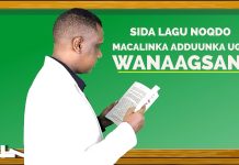 Macallinka waa barbaariyaha iyo hagaha Bulshada