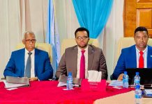 Wasiirka arrimaha gudaha XFS oo daahfuray ansixinta Siyaasadda Qaran ee maamul daadejinta iyo Federaalaynta