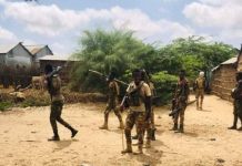 Ciidamada xoogga dalka oo howlgal ka dhan ah argagixisada ka fuliyay gobolka Sh/hoose