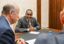 Ra’iisal wasaaraha Soomaaliya oo la kulmay wafdi ka socda Qaramada Midoobay